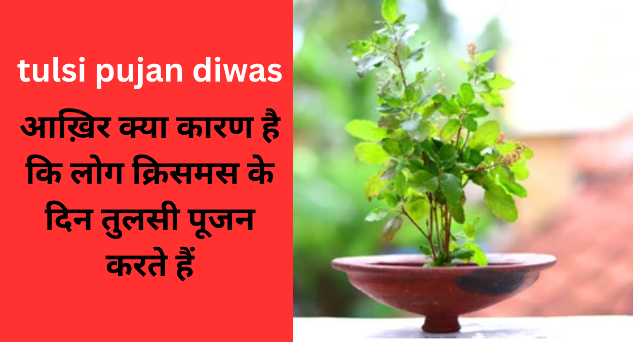 tulsi pujan diwas